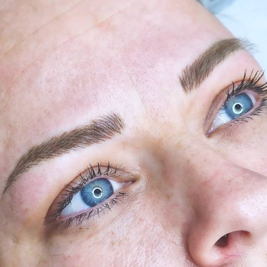 Vanila DV #crvenka Obrve Microblading bold brows