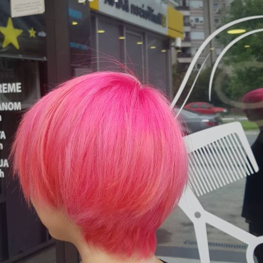 Pro Cut Zemun #beograd