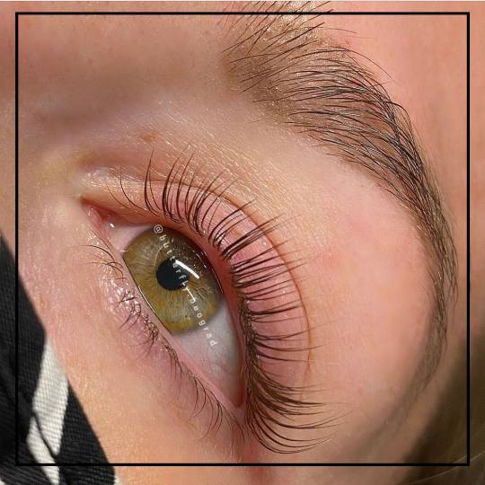 Butterfly #beograd Trepavice Lash lifting sa farbanjem trepavica Lash lift Lash lift podrazumeva pro