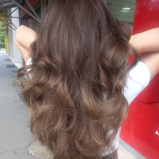 Royal cut - No Limit #beograd