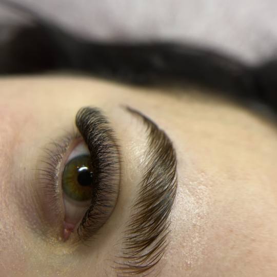 Beauty studio S #novisad Obrve Brow lift