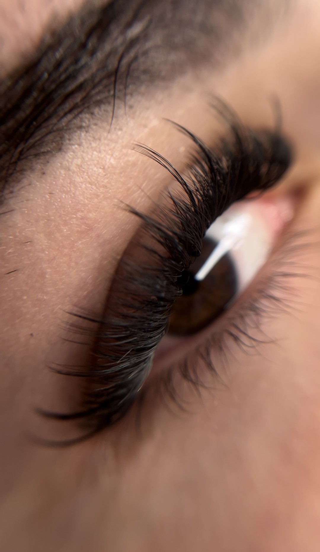 Jo Lash Academy #novisad Air brush potamnjivanje kože Wispy set trepavica