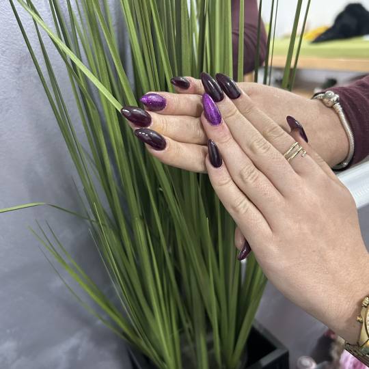 Beauty Studio S #beograd