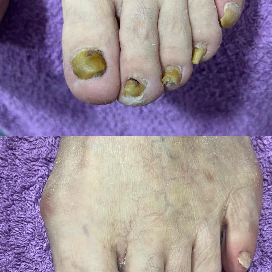 Studio Moldovan usluga