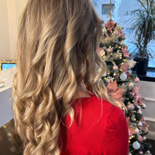 Esthetique Privé #beograd Pramenovi GOLDWELL Pramenovi + preliv + feniranje - duga kosa