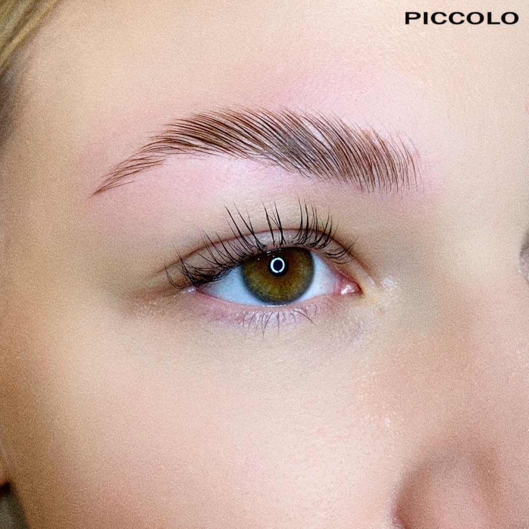Elite Studio Piccolo #beograd Obrve Lash lift + laminacija obrva + botox + farbanje