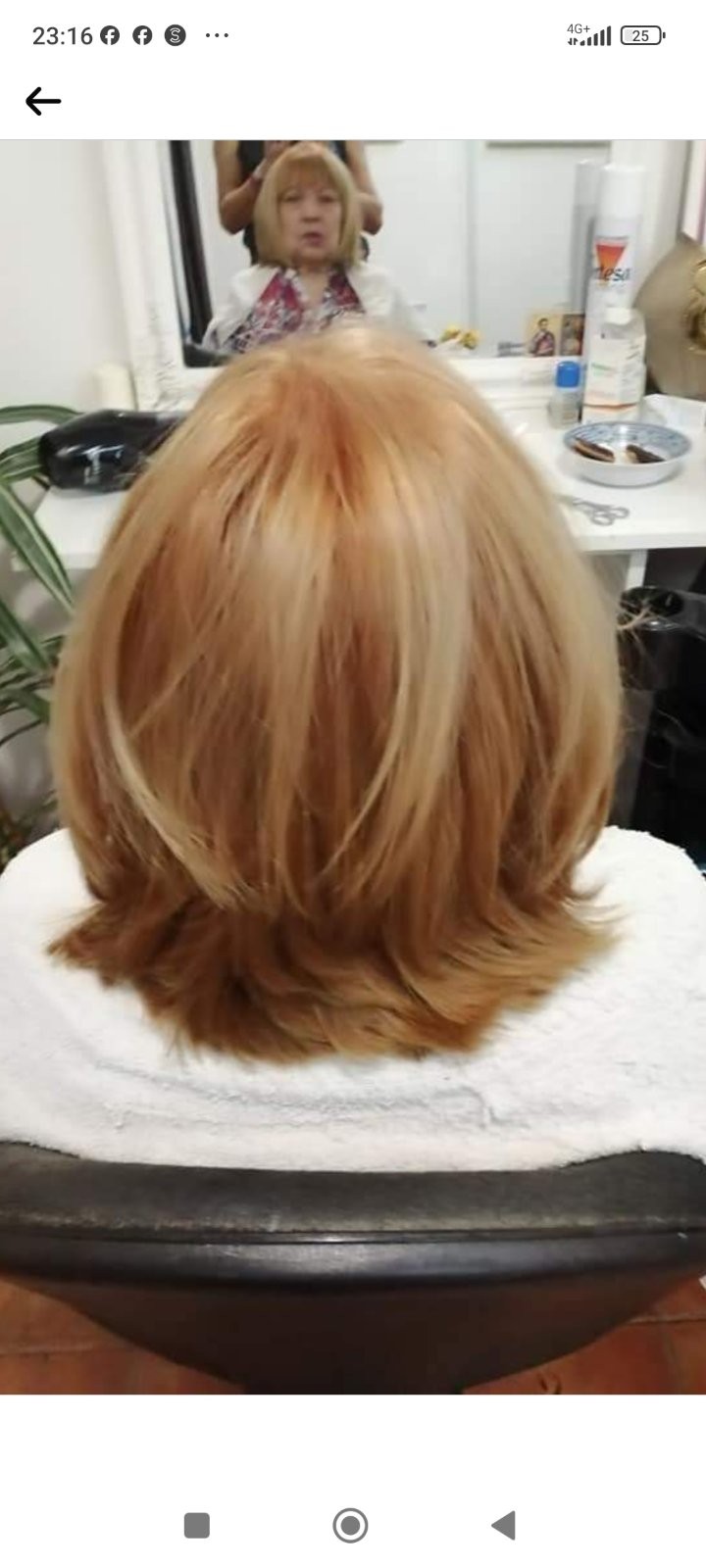 Shiny Look Gordina #nis