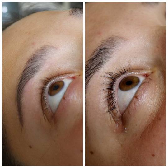 M Studio 0303 #novisad Trepavice Lash lift + farbanje trepavica + botox