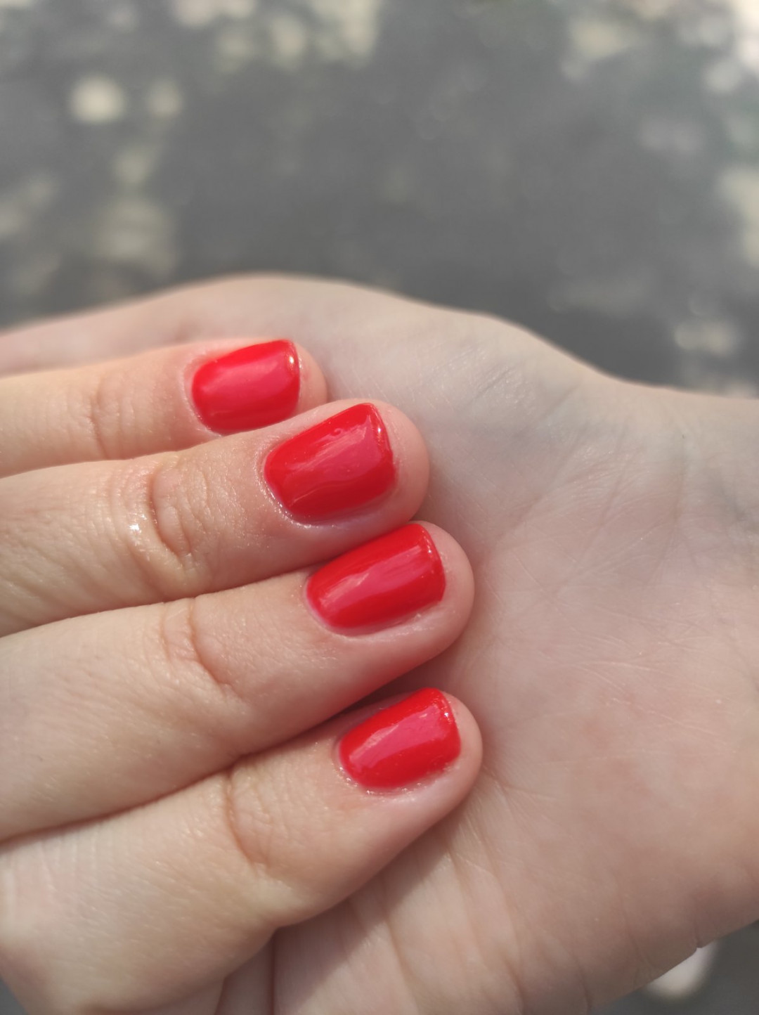 Topaz Beauty, Beograd Gel lak