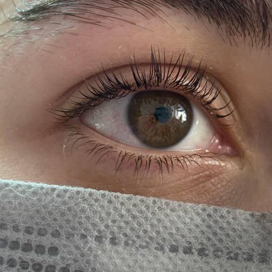 Studio 3S #beograd Trepavice Lash lift lash lift
