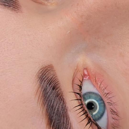 Esthetique Privé #beograd Obrve Brow lift + lash lift + farbanje obrva i trepavica