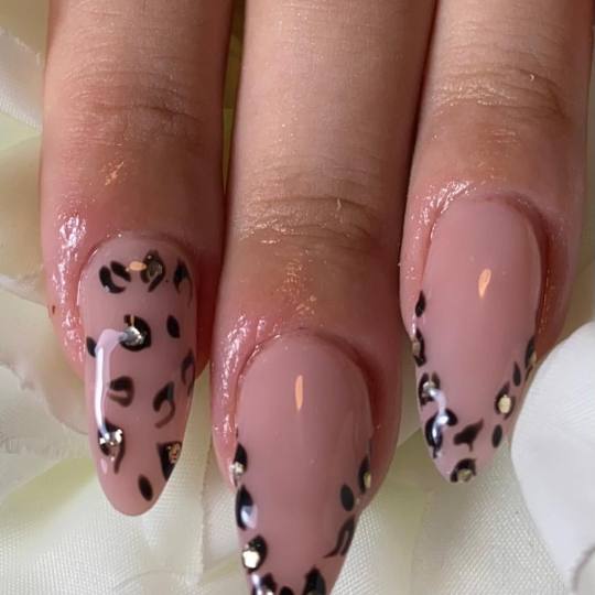 Beauty Rose Concept #beograd