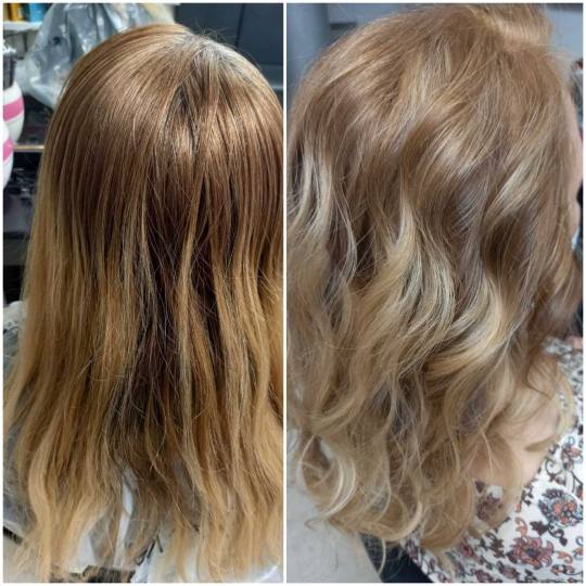 Royal cut - No Limit #beograd