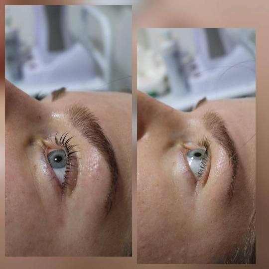 M Studio 0303 #novisad Trepavice Lash lift + farbanje trepavica + botox