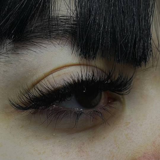 Mega Sun - Rakovica usluga