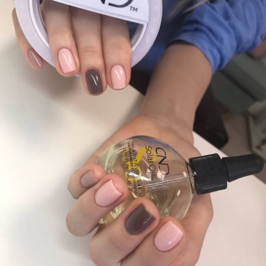 Bonar #beograd Manikir Manikir + shellac