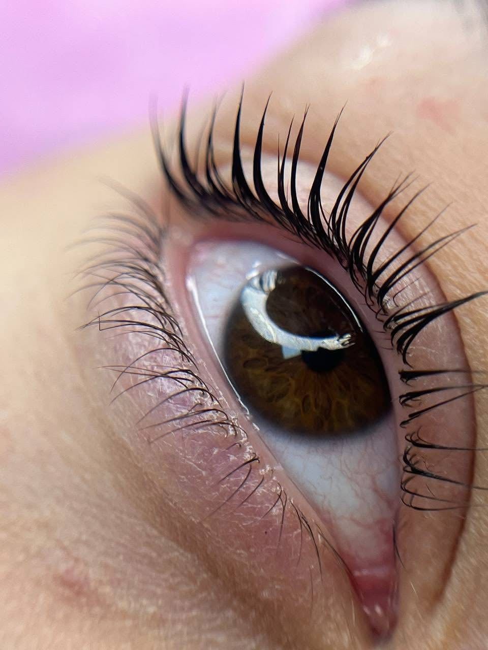 Pudra beauty & cosmetics bar #beograd Trepavice Lash lift