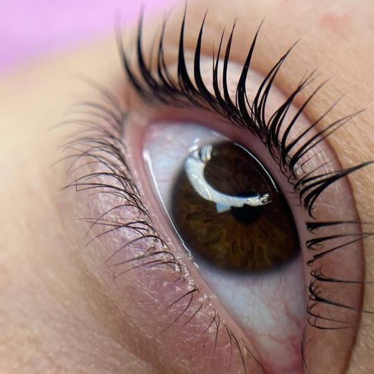 Pudra beauty & cosmetics bar #beograd Trepavice Lash lift