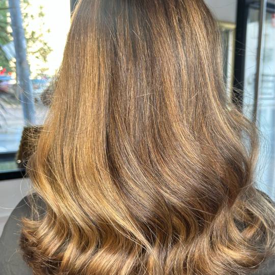 Esthetique Privé #beograd Pramenovi GOLDWELL Površinski pramenovi + preliv + feniranje - duga kosa