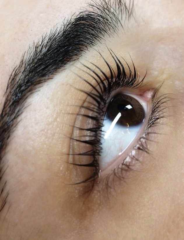 Lash lift + farbanje trepavica + botoks - Beauty Studio by Milica Pavlović, Beograd Trepavice Lice Trepavice, Beograd, Karaburma, Višnjička banja