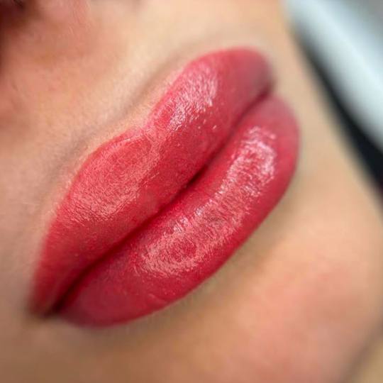 Frida beautycare #jagodina Trajna šminka Trajna šminka usana - velvet lips