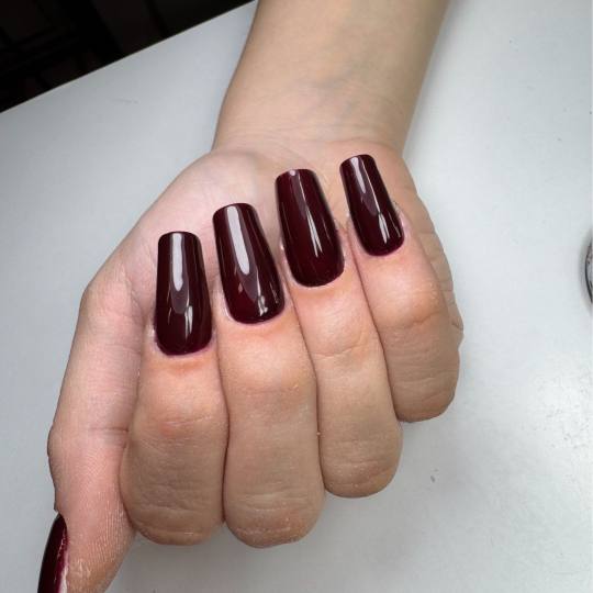 M Studio 0303 #novisad