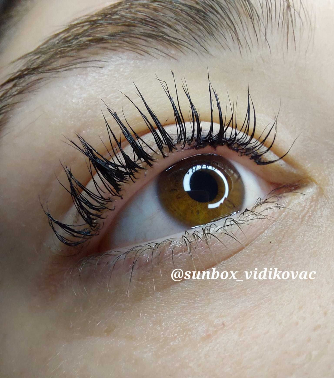 SunBox #beograd Trepavice Lash lift