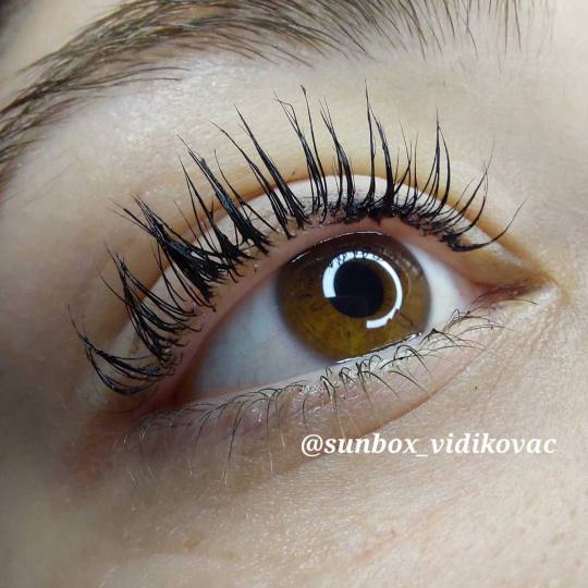 SunBox #beograd Trepavice Lash lift #LASHLIFT #VIDIKOVAC  Podizanje i uvijanje prirodnih trepavica -