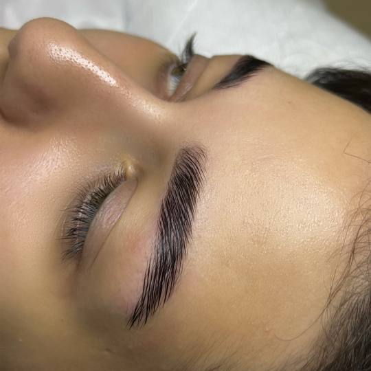 Atelier Beauty Bar #nis Obrve Brow lift + farbanje obrva BROW LIFT