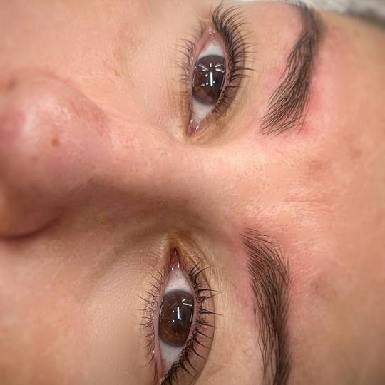 Alexandria Brow&Beauty lounge #beograd Trepavice Lash lift