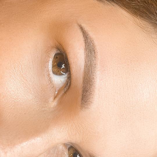 Galina Pure Concept Beauty Studio #nis Puder obrve Trajna šminka - puder obrve