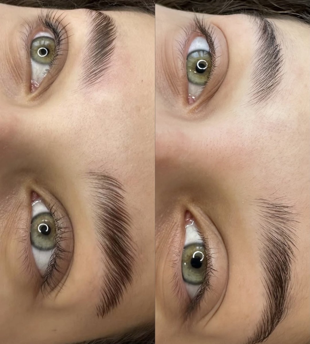 Natalis #beograd Obrve Lash + brow lift