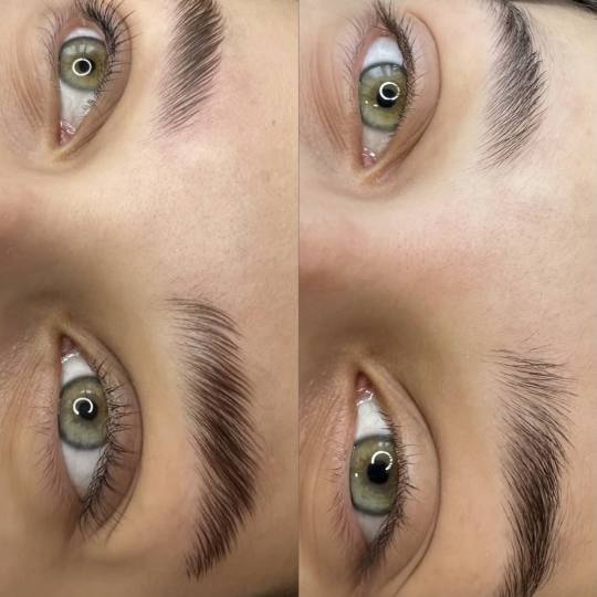 Natalis #beograd Obrve Lash + brow lift