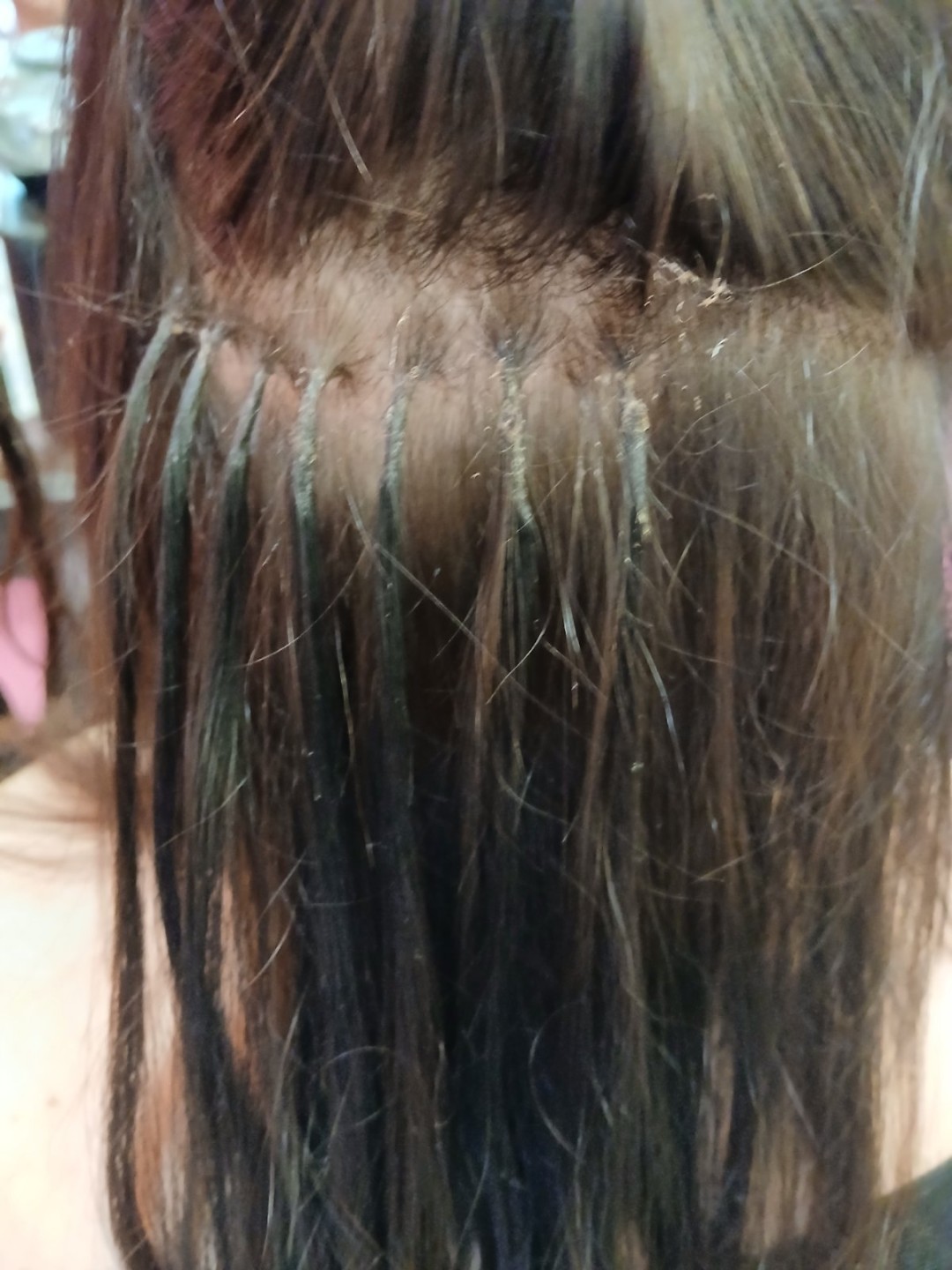 Sv. Mina, Beograd LookBook