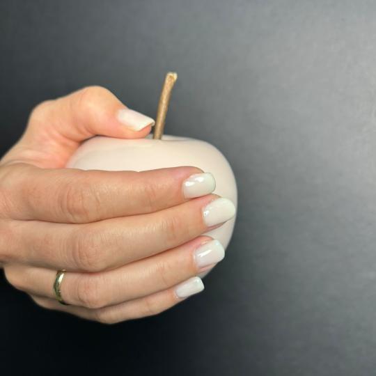 Shishi beauty studio #beograd Gel lak Gel lak ruku + spa manikir gratis Nokti