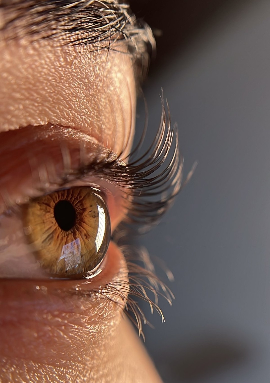 Lash lift - Lion King, Beograd Trepavice Lice Trepavice, Beograd, Vukov spomenik, Đeram