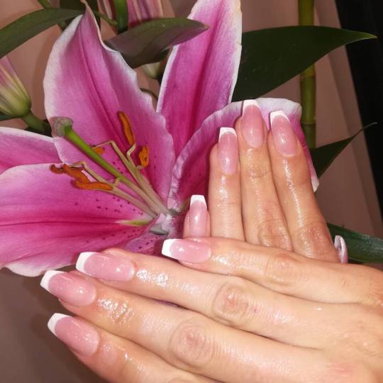 Estetic star by Maya #beograd Nadogradnja noktiju nadogradnja tipsama  frenc Nadogradnja noktiju tip