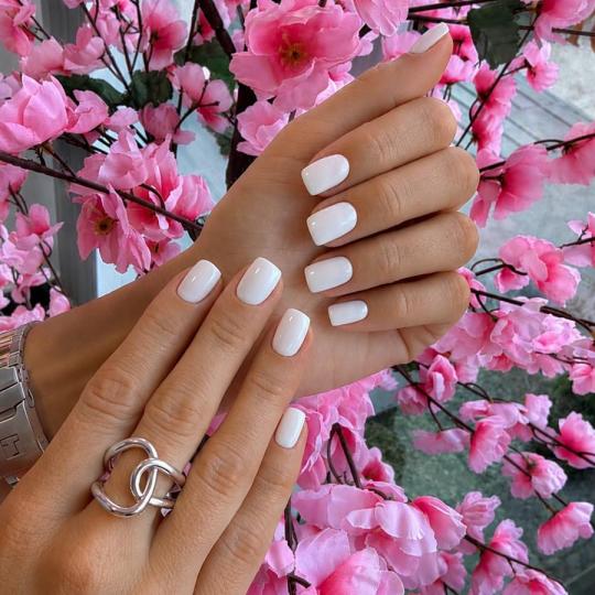 Nastja beauty studio #beograd Manikir Manikir + gel lak