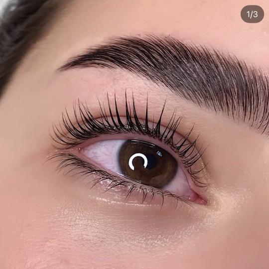 Studio Popov #beograd Obrve Brow lift + farbanje obrva