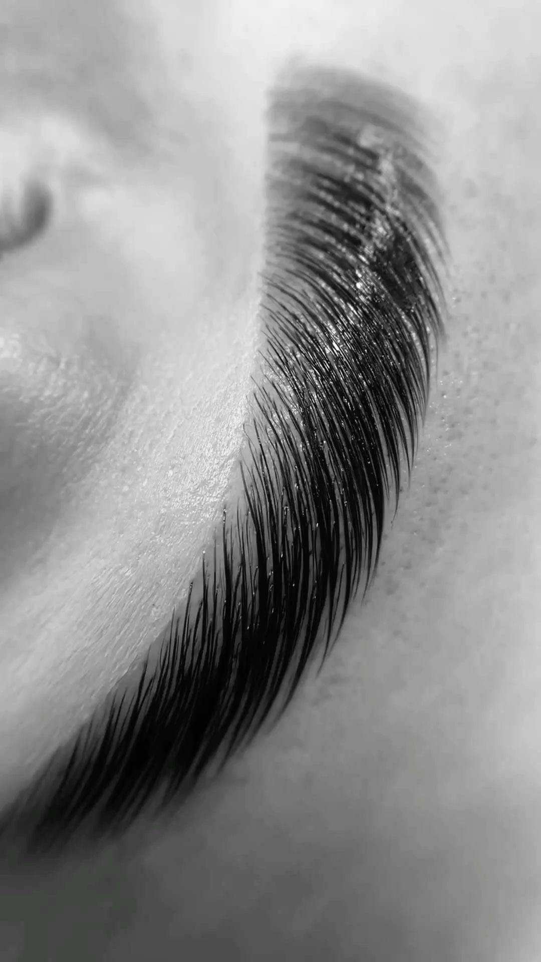 Lion King #beograd Obrve Brow lift