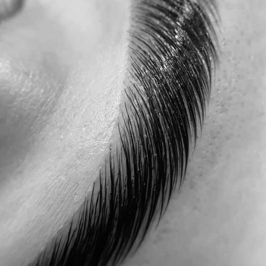 Lion King #beograd Obrve Brow lift