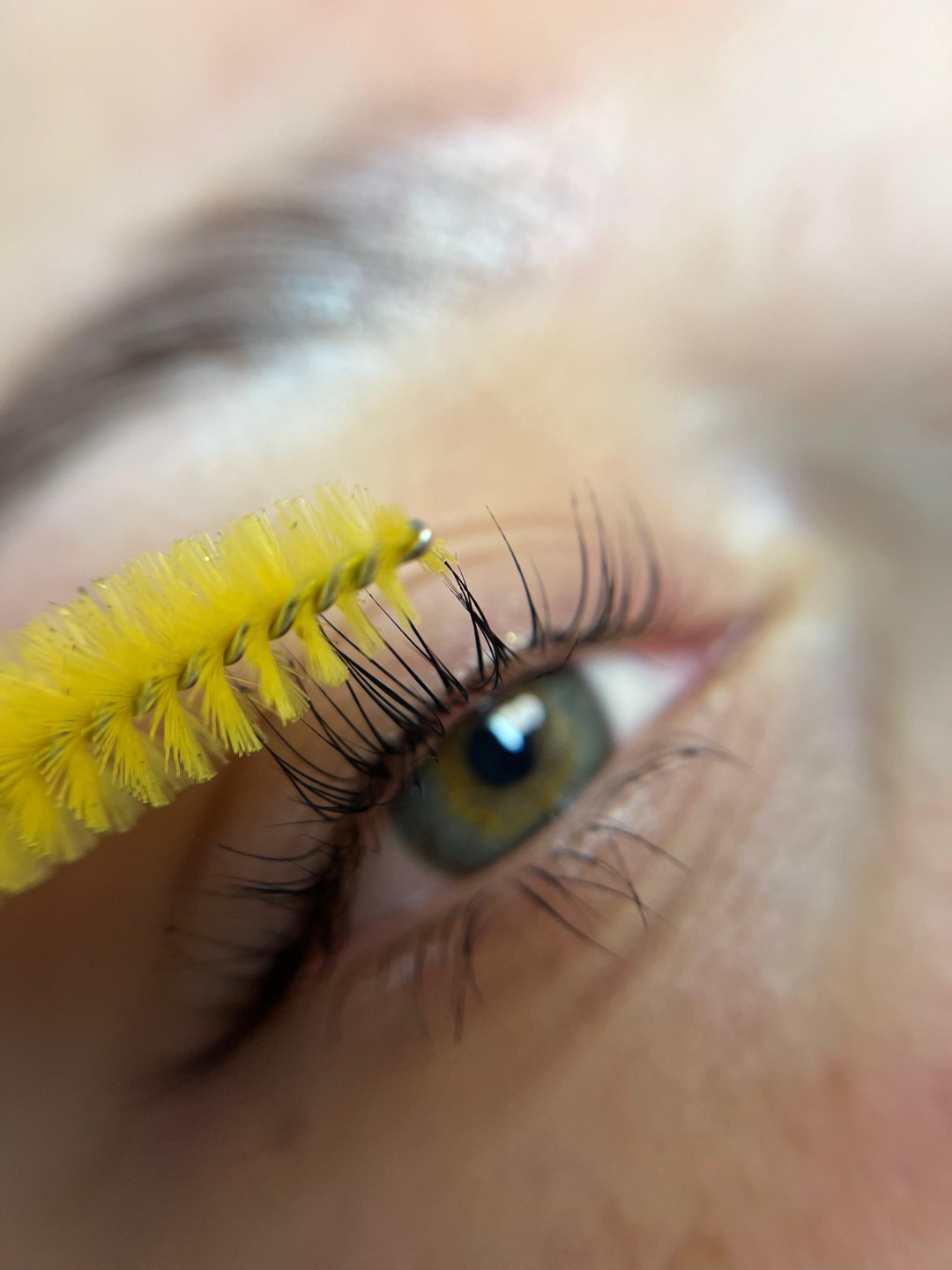 Studio 21 #beograd Trepavice Lash lift + farbanje trepavica