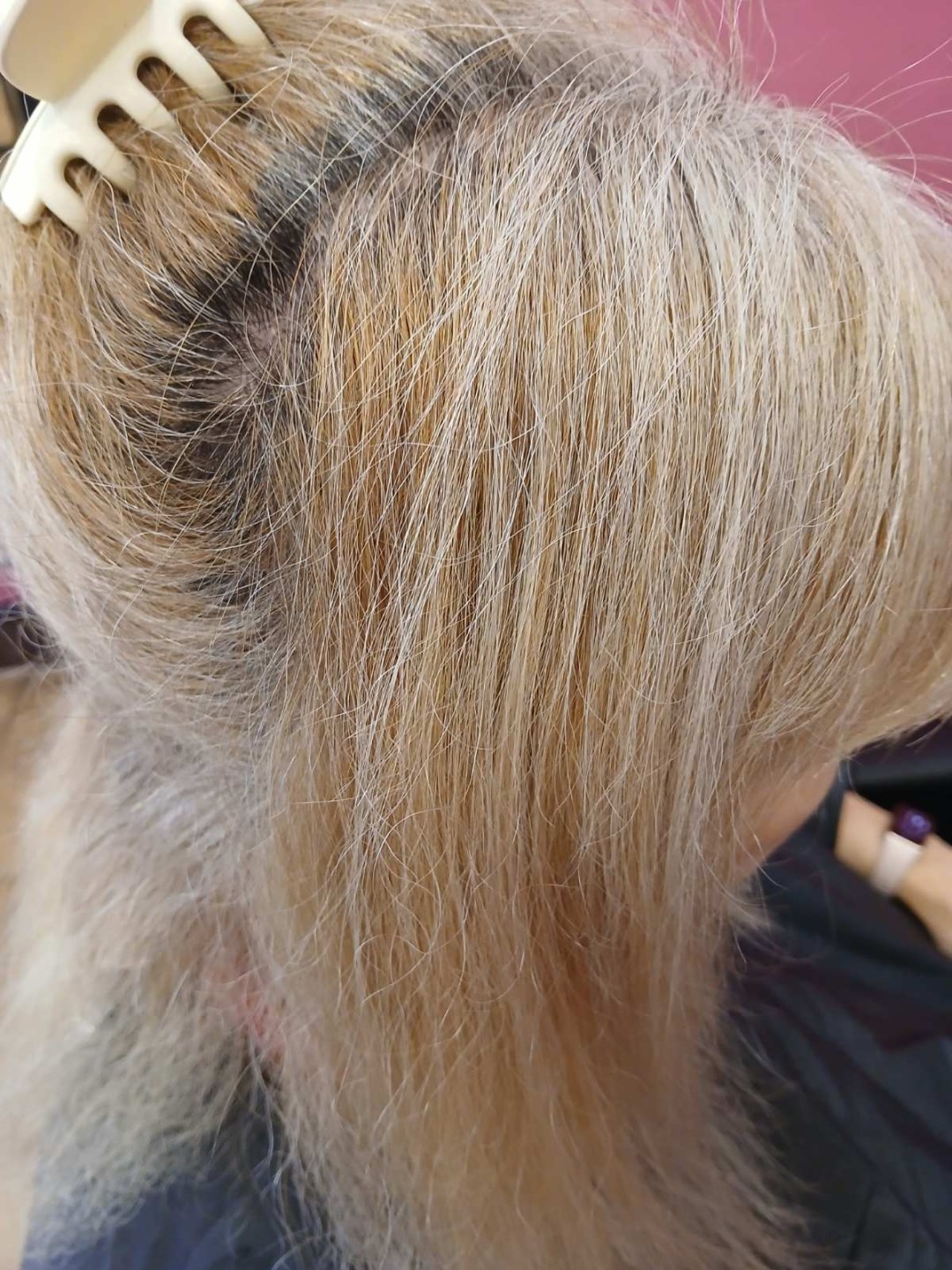 Sv. Mina, Beograd LookBook