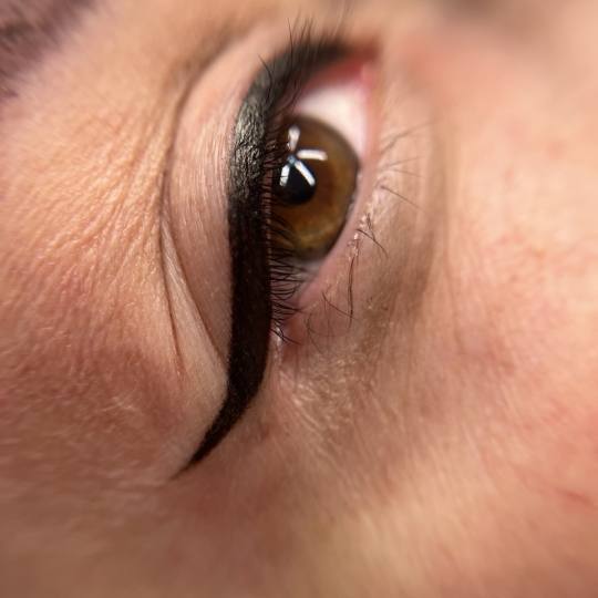 Nectarius Brows Academy #kragujevac