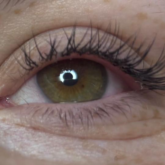 Angels #novisad Obrve Korekcija nadogradnje trepavica - 1:1 do 3 nedelje