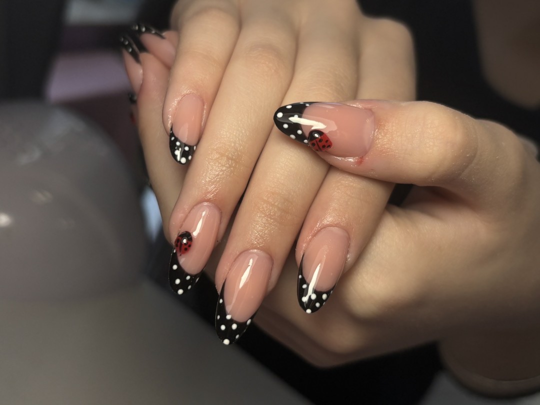 M Studio 0303 - Vojvode Bojovića #novisad