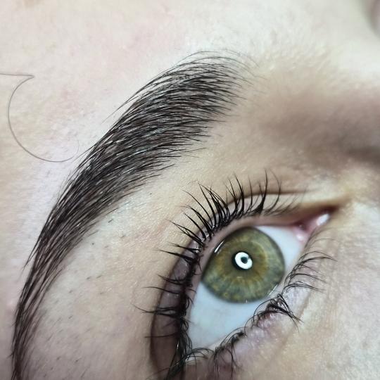 Oladoria Rituals #novisad Obrve Lash lift + Brow lift