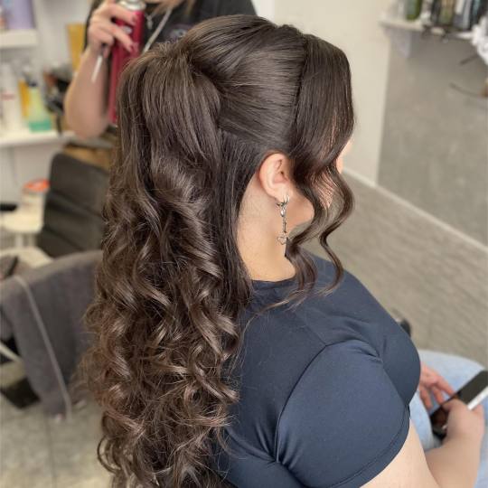 Beauty in Style DM #novisad Svečane i frizure za svadbu Svečana frizura 4