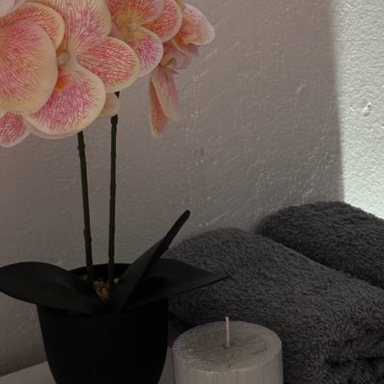 Nega i lepota NS 3 #novisad Masaža za opuštanje / relax / antistres Relax masaža - 60 min