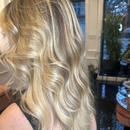 Esthetique Privé #beograd Pramenovi GOLDWELL Pramenovi + preliv + feniranje - duga kosa